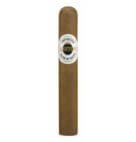 ASHTON MAGNUM 5X50 BOX25