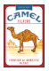CAMEL REGULAR FSC NON-FILTER