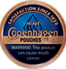 COPENHAGEN MINT POUCH 5CAN