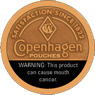COPENHAGEN POUCH 5CAN