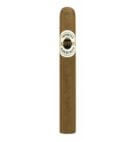 ASHTON CORONA 5.5X44 BOX25