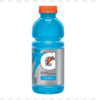 GATORADE WIDEMO COOL BLUE 24/20OZ