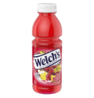 WELCHS FRUIT PUNCH 12/16OZ